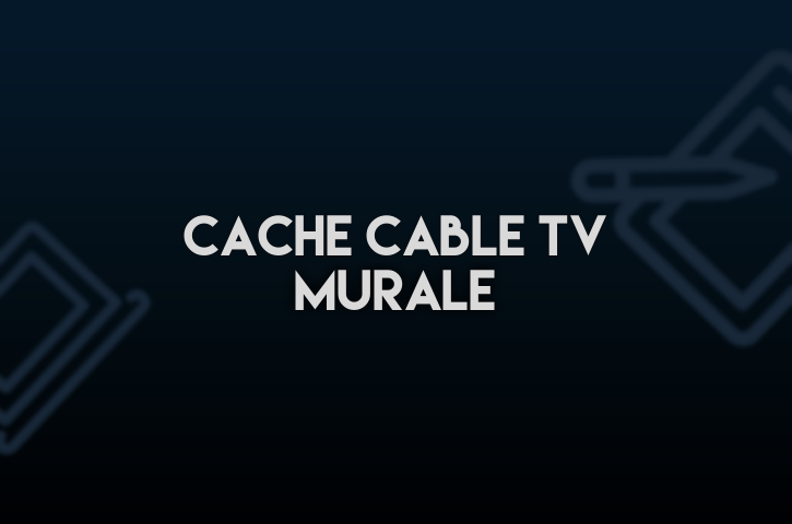 Cache Cable TV Murale